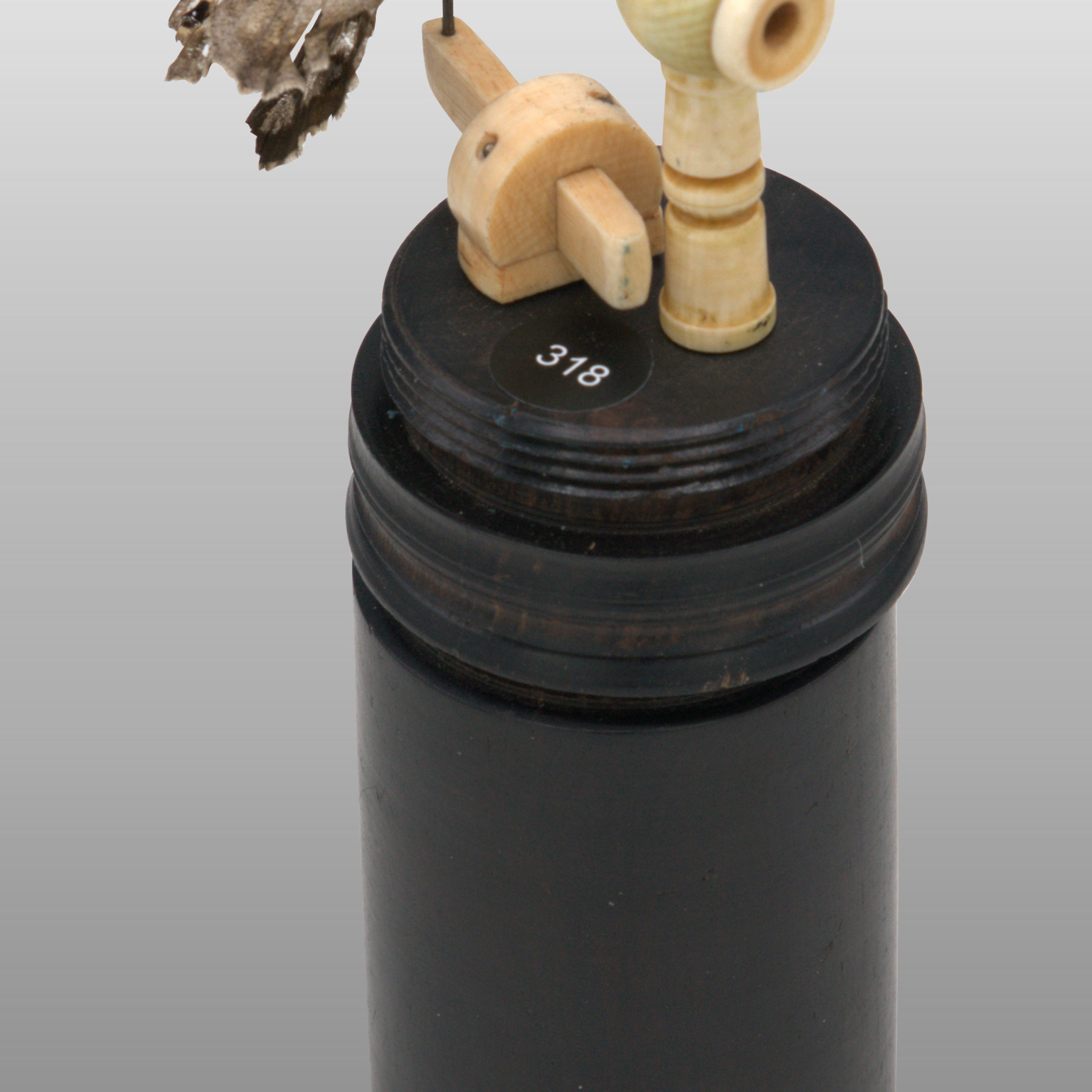 Anglais Sans Nom 1799 inv 318