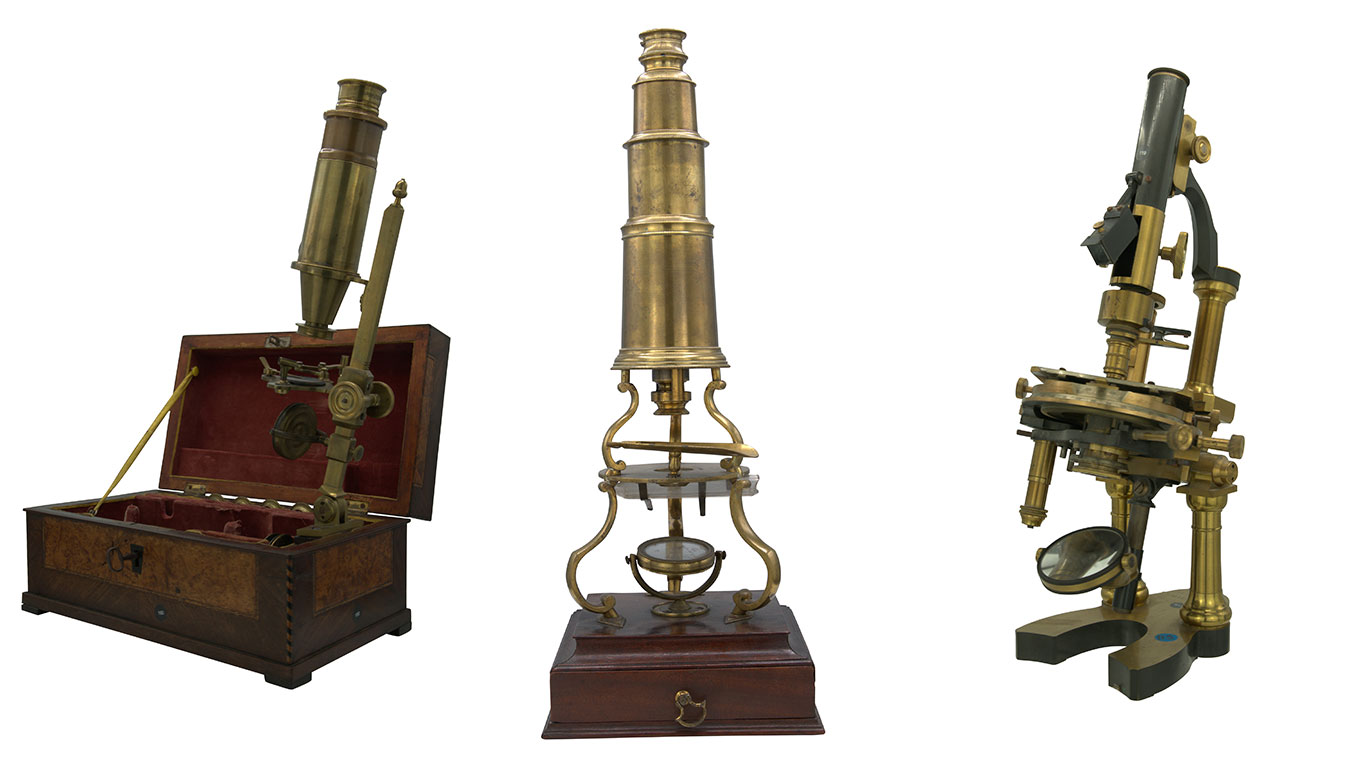 Microscopes de la collection